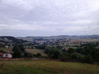 Tour Wandern Amplepuis - Amplepuis - Rochefort - Photo