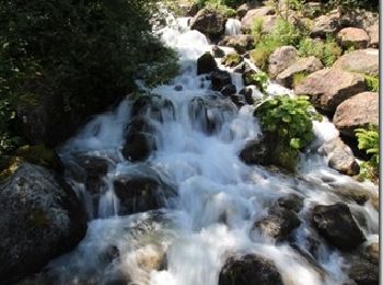 Trail Walking Chamonix-Mont-Blanc - La cascade du dard - Photo