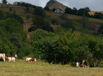 Tour Wandern Chastreix - Lae roc de Courlande - Photo