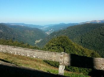 Excursión Bici de montaña Metzeral - mittlach steinwasen mittlach - Photo