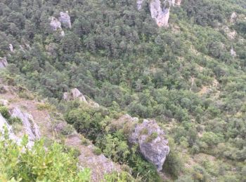 Trail Walking La Roque-Sainte-Marguerite - Circuit rouge du Chaos de Montpellier le vieux.  - Photo