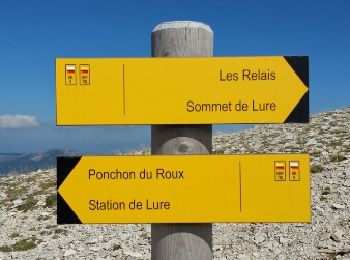 Trail Walking Saint-Étienne-les-Orgues - Lure ( sommet de ) - Photo