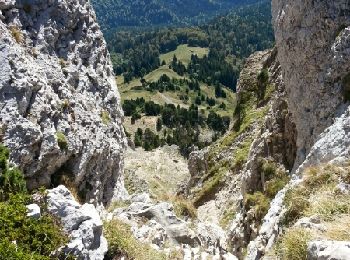 Tour Wandern Sarcenas - Chamechaude par les pas de l' Arche et de l'Ecureuil - Photo