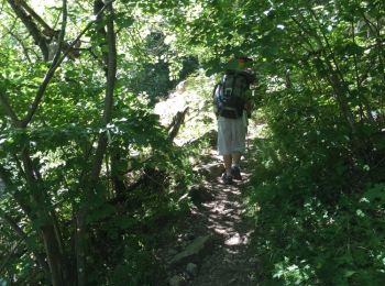 Excursión Otra actividad Thuès-Entre-Valls - thues ras de la carança - Photo