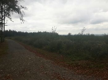 Tour Mountainbike Ferrières - st-roch - Photo