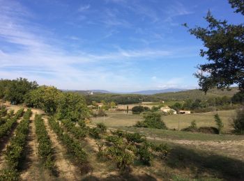 Tour Wandern Rognes - mini sentier des vignerons  - Photo