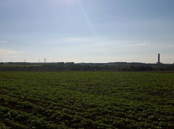 Randonnée Autre activité Seneffe - arquennes Ron qui ère arquennes - Photo