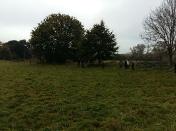 Tocht Noords wandelen Oud-Heverlee - 2016-10-27 Doode Bemde - Photo