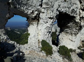 Randonnée Marche Saint-Rémy-de-Provence - le rocher des deux trous - Photo