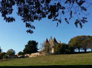 Tour Wandern Saint-Sornin - Le vignoble de St Sornin  - Photo