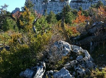 Trail Walking Castellane - col de Leque - Photo
