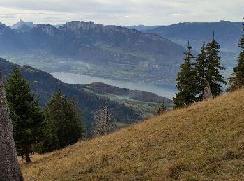 Trail Walking Talloires-Montmin - col lancrenaz - Photo