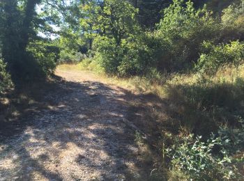 Percorso Camminata nordica Gordes - Trois termes par le vallon de Vaulongue - Photo