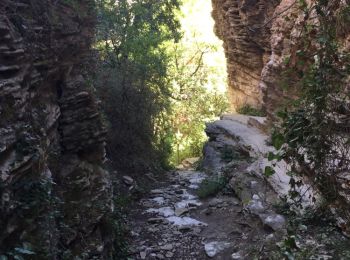 Excursión Marcha nórdica Venasque - Boucle entre Venasque et Le Beaucet  - Photo