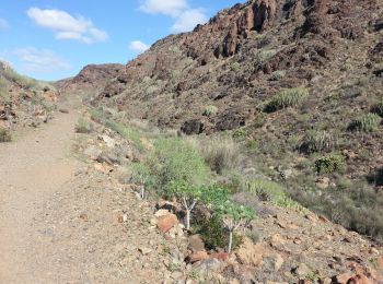 Trail Walking San Bartolomé de Tirajana - 104-2016 11 03-circulaire du ravin cardonal - Photo