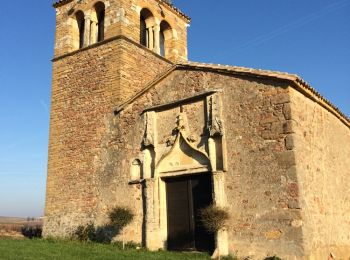 Tour Wandern Denicé - Denicé (69) - Photo