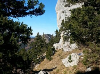Randonnée Marche Plateau-des-Petites-Roches - La dent de Crolles par le Pas de l'Oeille et le Sangle Barrère - Photo