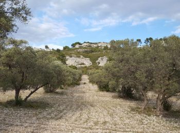 Randonnée Marche Mouriès - les caisses de Jean Jean - Photo