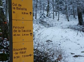 Randonnée Raquettes à neige Léoncel - Le Grand Echaillon 20 12 2016 - Photo