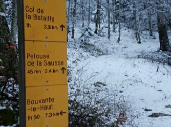 Excursión Raquetas de nieve Léoncel - Le Grand Echaillon 20 12 2016 - Photo