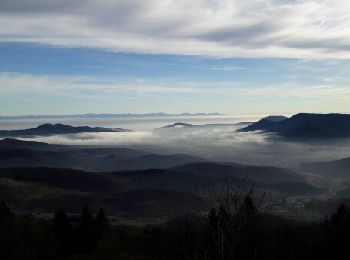 Randonnée Marche Le Hohwald - 67 Hohwald Charbonnière  - Photo