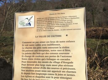 Trail Walking Marmanhac - vallée des poètes - Photo