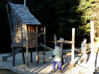 Tocht Stappen Métabief - Tertre - Photo