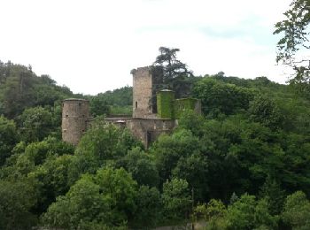 Tour Wandern Saint-Désirat - 2011-06-21 - 13h31m24 - Photo