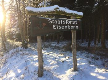 Percorso Altra attività Büllingen - elsenborn 2017 - Photo