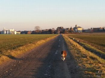 Trail Walking Fleurus - Wagnelee Campagne et éoliennes  - Photo