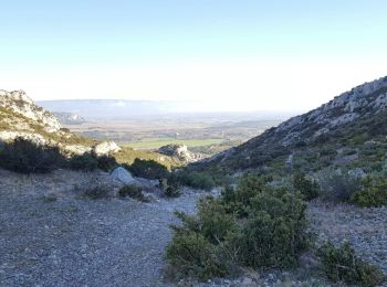 Excursión Senderismo Aureille - Le Tour des Opies  Aureille - Photo