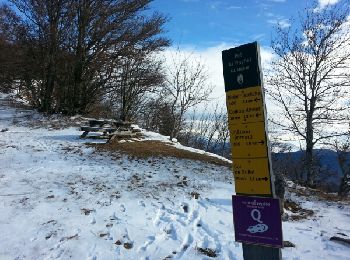 Excursión Senderismo Miribel-Lanchâtre - Les crêtes de la Ferrière - Photo