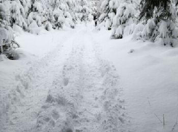Trail Walking Libramont-Chevigny - marche des flocons - Photo