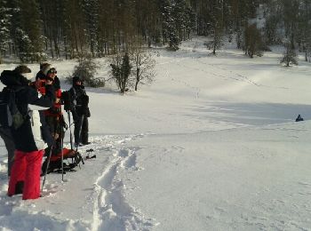 Trail Snowshoes Le Thillot - chaillon - Photo