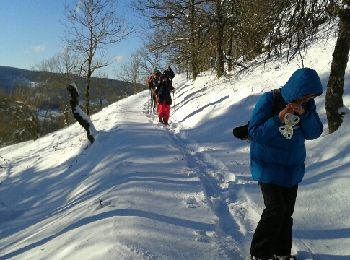 Trail Snowshoes Le Thillot - le  - Photo