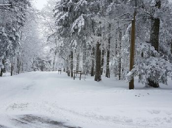 Excursión Raquetas de nieve Léoncel - Le Grand Echaillon 18 12 2017 - Photo