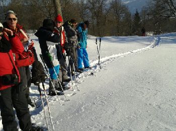 Excursión Raquetas de nieve Le Thillot - la vierge fugueuse - Photo