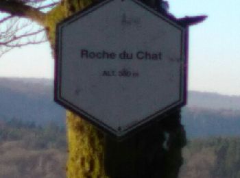 Trail Snowshoes Florenville - Les Epioux - La Roche du Chat - Photo