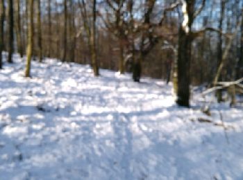 Randonnée Marche Bogny-sur-Meuse - neige entre Loup et Liry - Photo