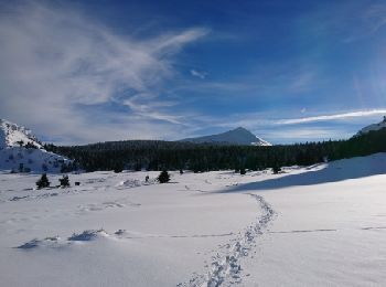 Randonnée Raquettes à neige Chaudeyrolles - chaudeyrolles - Photo