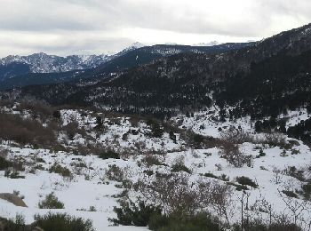 Randonnée Raquettes à neige Railleu - Petit tour en raquette au dessus de Sensa - Photo