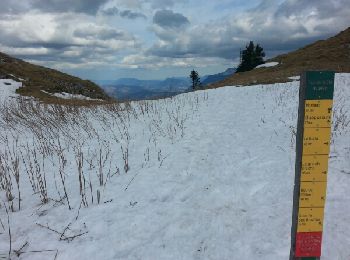 Tour Schneeschuhwandern Autrans-Méaudre en Vercors - Le Pas de la Clé (2017) - Photo