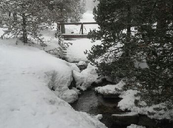 Excursión Raquetas de nieve Font-Romeu-Odeillo-Via - refuge Llobens par le golf - Photo