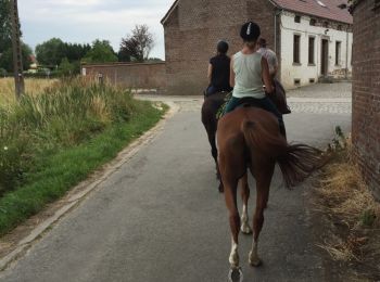 Trail Equestrian Lessines - deux acren - Photo