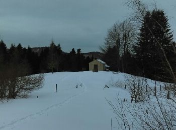Percorso Racchette da neve Montferrier - Mont d'Olmes - le Planas - Photo