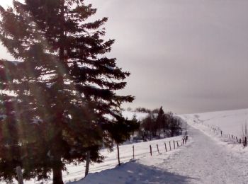 Tour Schneeschuhwandern Fellering - raquettes markstein 12-02-17 - Photo