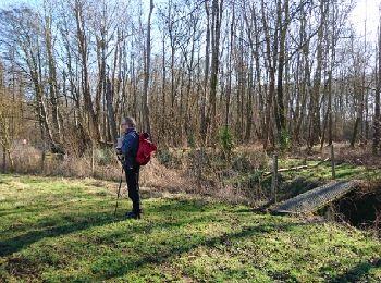 Trail Walking Thoury-Férottes - 170215-RECO - BelleFontaine - Photo