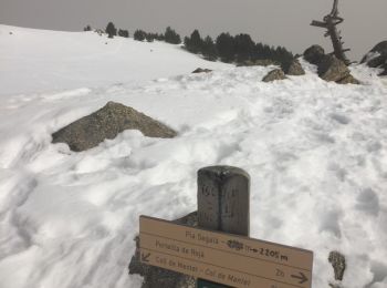 Randonnée Marche Py - sortie raquettes col Mantet vers pla Segala - Photo