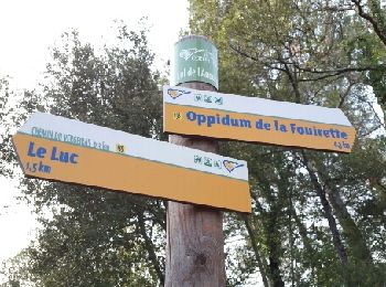 Tour Wandern Le Luc - Le Luc Mascaronne rando - Photo