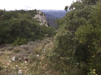 Trail Walking Bagard - les crêtes  de Peyremale  - Photo